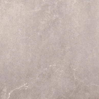 800P AVENUE-R GRIS 59.3x59.3 0