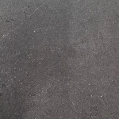 Lifestone Ergo Grafito Natural 44.63x44.63 0