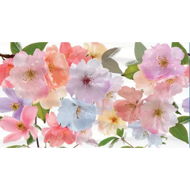 Dec Clematis Panno A 25х45 0