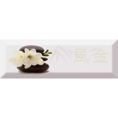 Decor Japan Tea 04 B 10X30 0