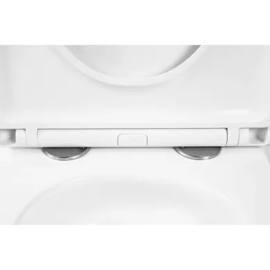 Подвесной унитаз Welt Wasser Gelbach 043 GL-WT (ультра тихий) микролифт 5