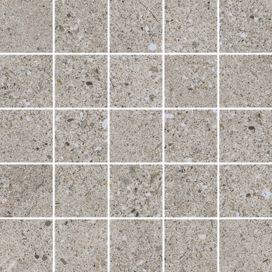 22623 D.EVOLUTION GREY MOSAIC/25X25 0