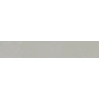 22517 PLANET SILVER/9.9X60.7/SF/R 9.9x60.7 0