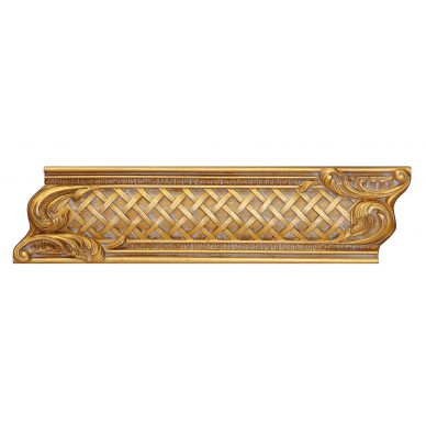 10953 C.AURUM 8x30 0