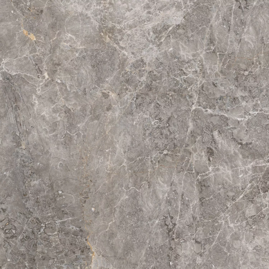 100305811 Elegant Grey Pulido 120x120 0
