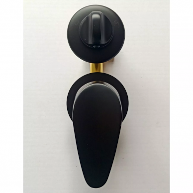 Душевая кабина Frank F411R Black (114115) 110х80х220 см, правосторонняя 12