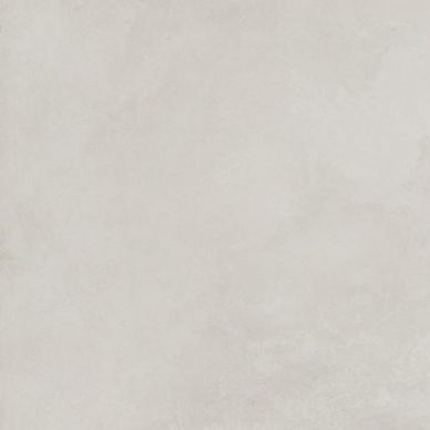 SG602520R Evolution Blanco матовый 60x60 0