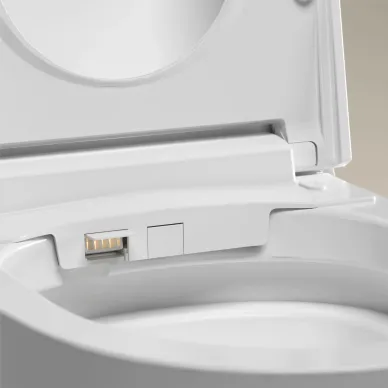 Подвесной унитаз RGW SW-71 80420271-01 с биде, импульсный, с микролифтом 13