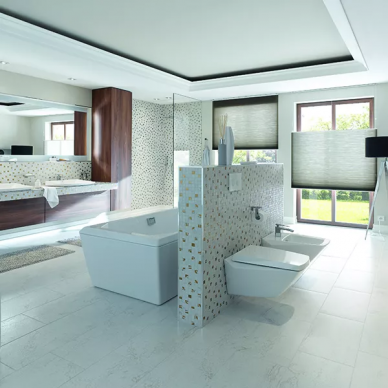 Чаша подвесного унитаза Toto Jewelhex (CW682E#XW) 5