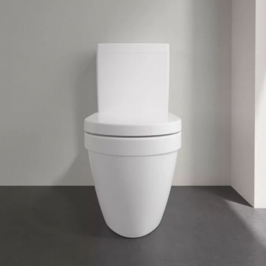 Чаша для напольного унитаза Villeroy & Boch Architectura (5691R001), безободковый 6
