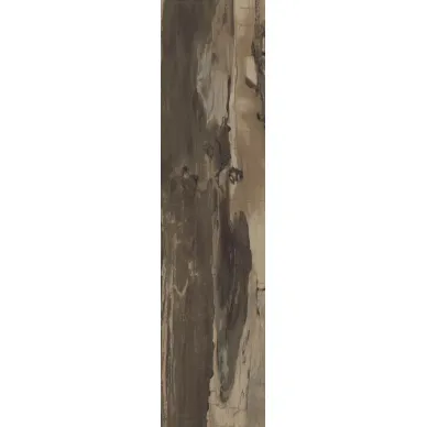 PO2560RL Petrified Wood Brown Rett/Lapp 24,3x99,5 0