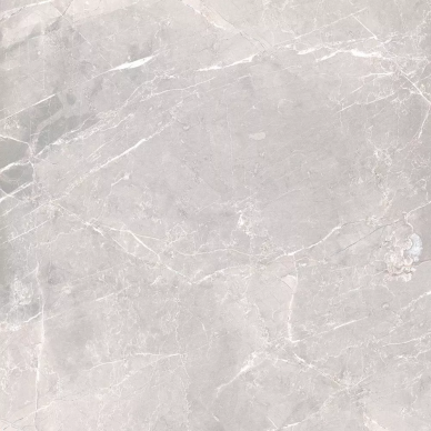 65414 Grigio Nat/Rett 60х60 0