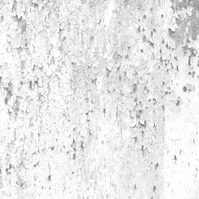 FERRUM NACAR NATURAL 100х100 0