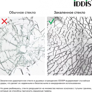 Душевая дверь Iddis Ray (RAY6CP8i69)	80х195 см 5