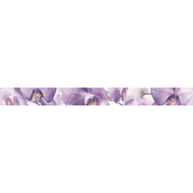 listelo Orquidea berenjena 4,7*50 0
