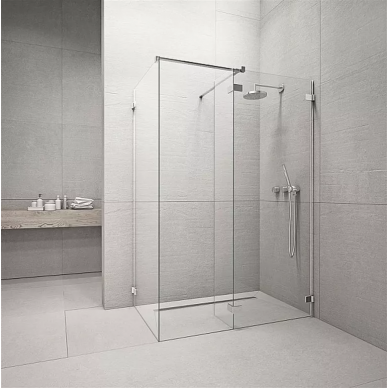 Душевая шторка Radaway Euphoria Walk-in (383133-01-01) (110 см) 0