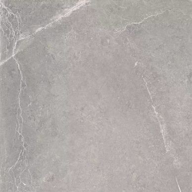 Nival Gris Brillo Rect 60x60 0