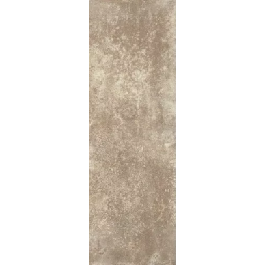 Trakt Beige Rekt. Mat. 37,3х75 0