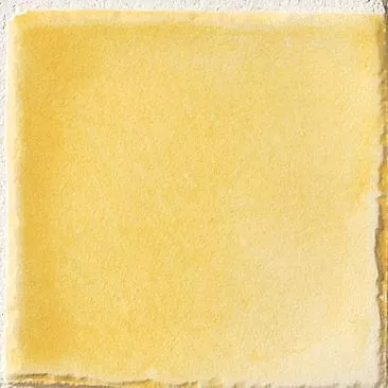 1009202 ERG 10x10 0