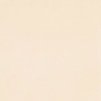 FEMME GRES 49,1X49,1 0