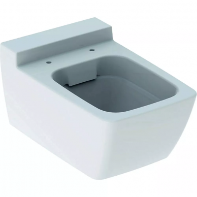 Чаша подвесного унитаза Geberit Xeno2 Rimfree (500.500.01.1) 6