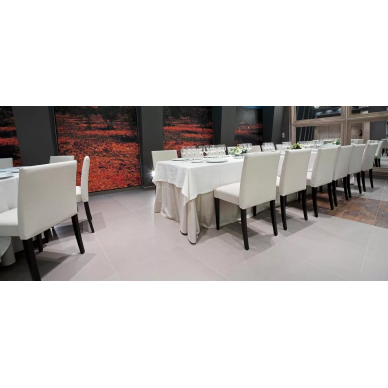Newstone 6
