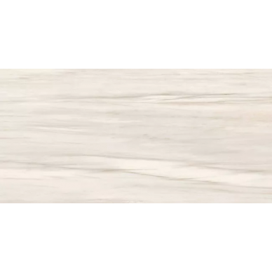 GCBO01S Boutique HBO1 ZEBRINO SHINE 60x120 0