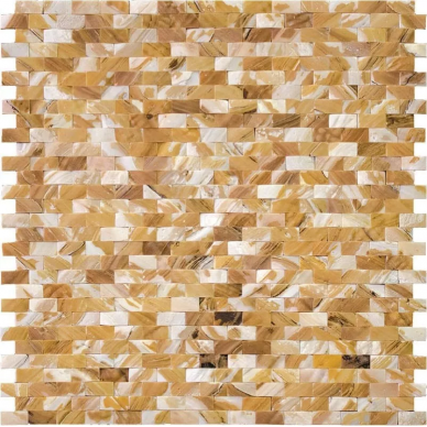 SMF-01-1020 Ракушка 10х20 290x300 0