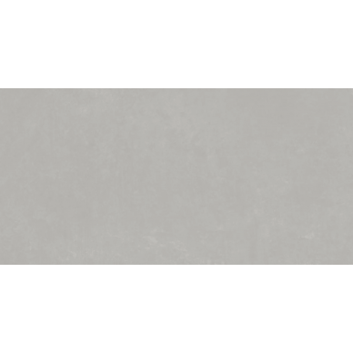 25100 PLANET SILVER SF/30X60/C/R 0