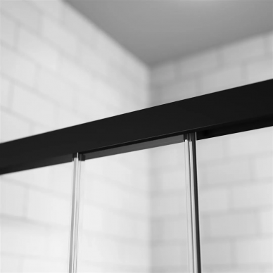 Душевая дверь Radaway Idea Black (387016-54-01R) (120 см) (R) 6