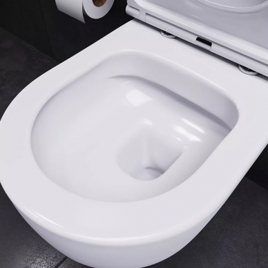 Чаша подвесного унитаза Damixa Sirius (DX86C1700SC) с сиденьем микролифт 7