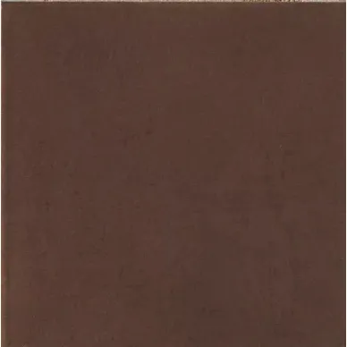 1036638 CAMOSCIO 10x10 0