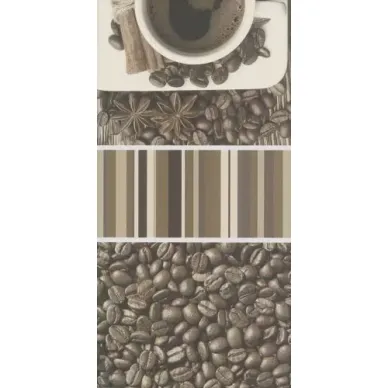 VIVIDA Bianco INSERTO CAFE B 30x60 0