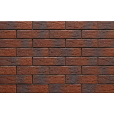 9539 Rot Rustic 24,5х6,5х0,65 0