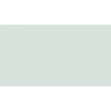 1045-0244 Эвентир зеленая 25х45 0