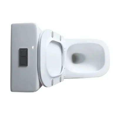 Унитаз напольный Cerutti SPA VETTORE Tornado CT10816 безободковый, микролифт 2