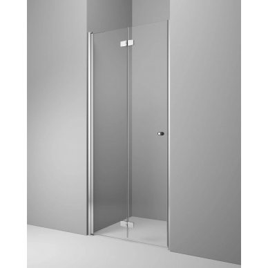 Душевая дверь Radaway Fuenta (384077-01-01R) (100 см) (R) 0
