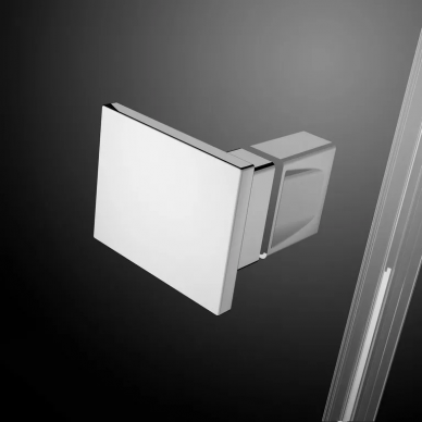 Душевая дверь Radaway Essenza (385083-01-01R) (100 см) (R) 5