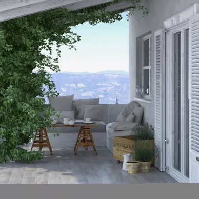 Tilia 6
