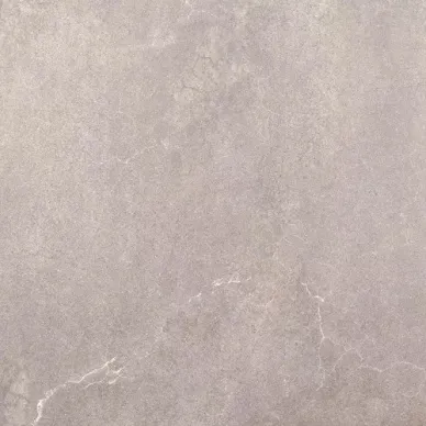 88D6 AVENUE-SPR GRIS LAPP 59,3x59,3 0