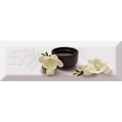 Decor Japan Tea 04 C 10X30 0