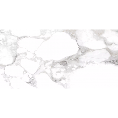 31001 HAUTE WHITE SP/60X120/R 0