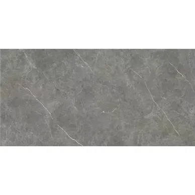 CAN5BERIDXAA Firenze Gris Rect 60x120 0