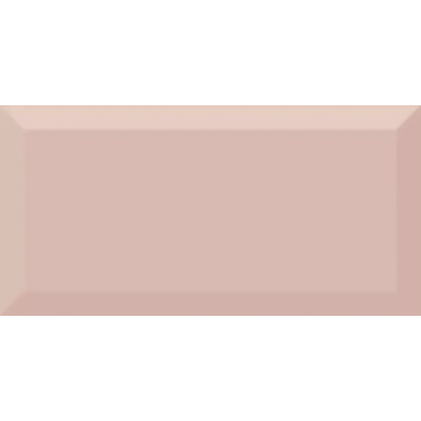 Monocolor Salmon Biselado Brillo 10х20 0