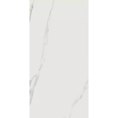 Bianco Statuario JW01 Luc SQ 60x119.7 0