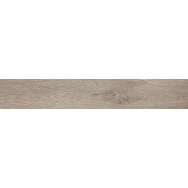 fPV0 ROOTS TAUPE MATT R9 20х120 0