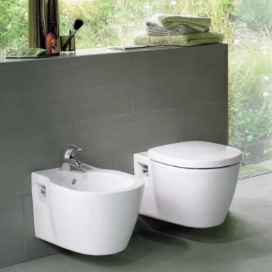 Чаша подвесного унитаза Ideal Standard Connect (E803501) 2