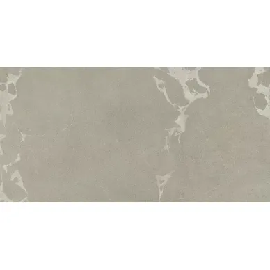 762073 ESPRIT DE REX MODERNE GRIS RET 60X120 0