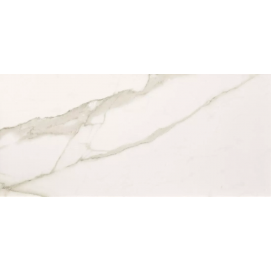 fNHH Roma Diamond 110 Statuario Brillante 50x110 0