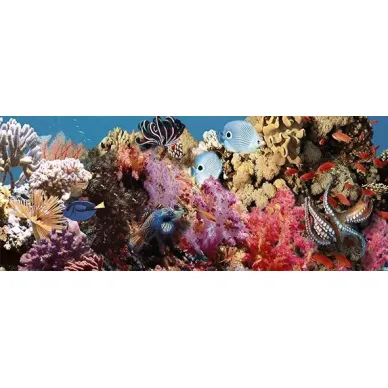 Декор Ocean Reef 1 20x50 0
